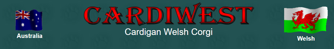 CardiWest Cardigan Welsh Corgis